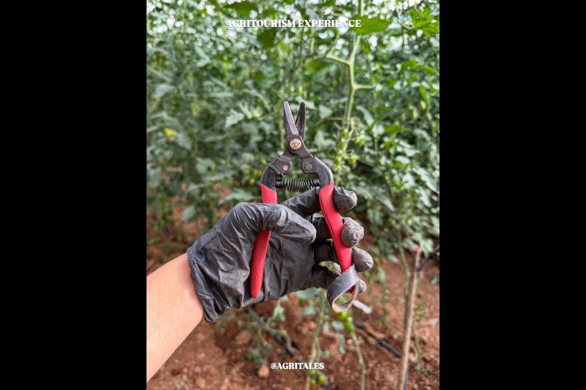 Expérience agritouristique Agritales