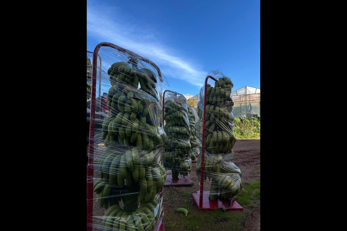 Expérience agritouristique Agritales