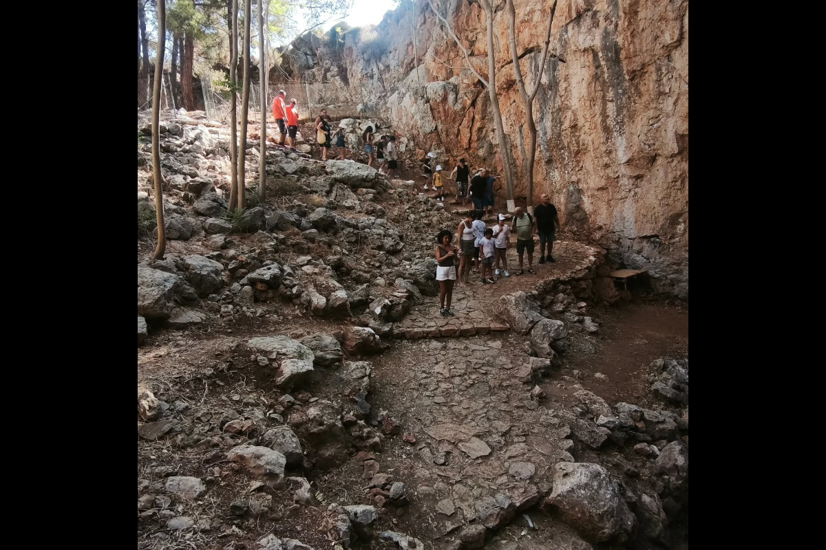 The Real Safari