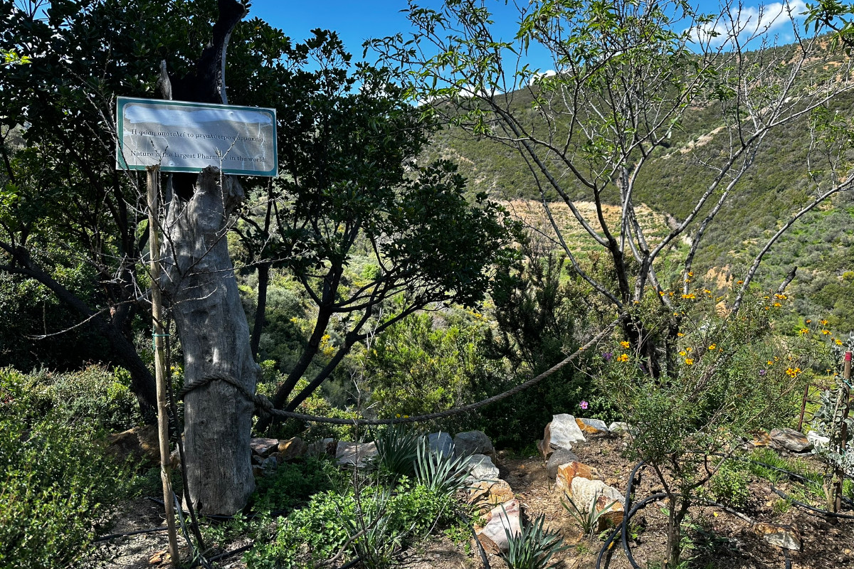 Tour location in Crete