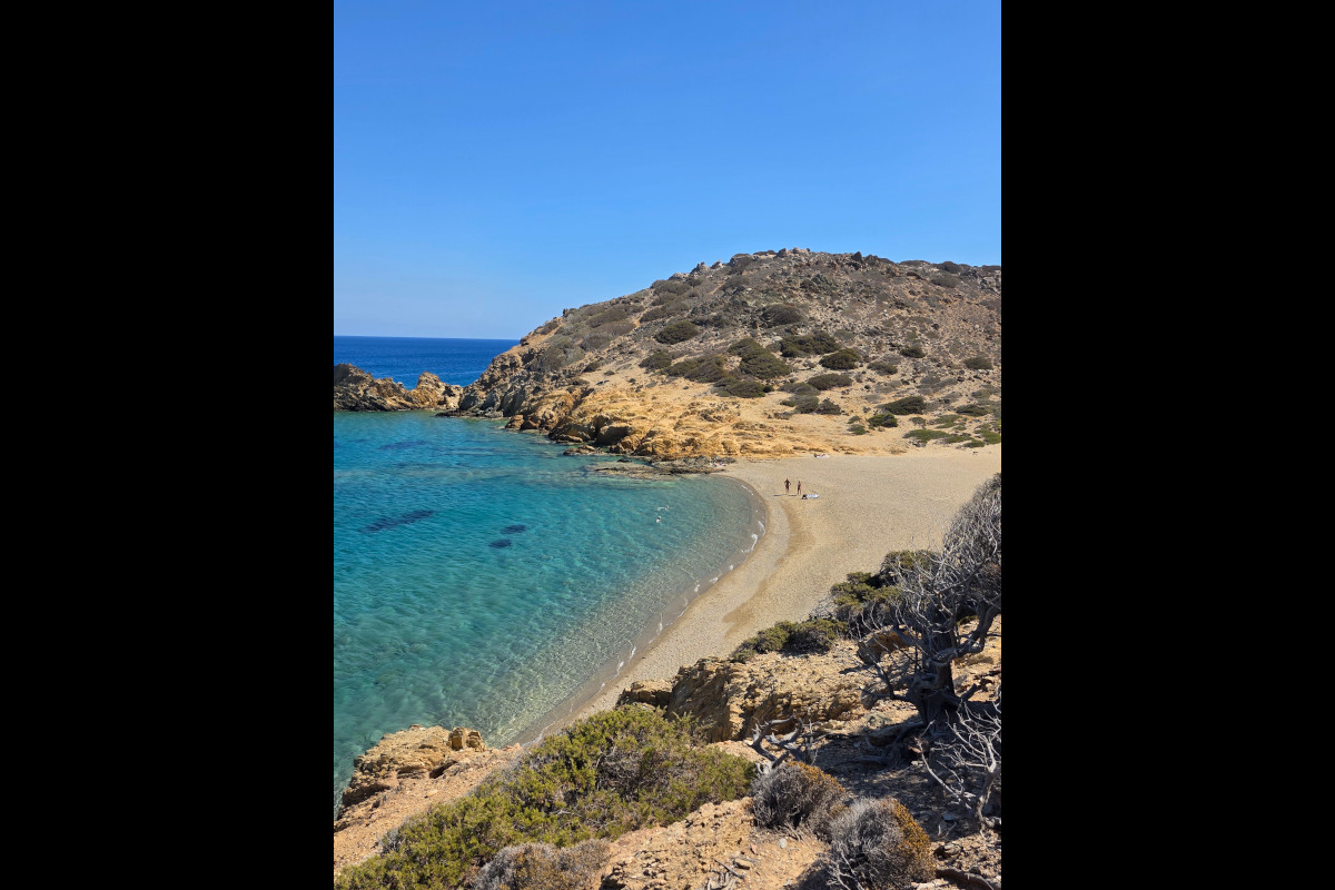 105 Olives Travel Boutique
