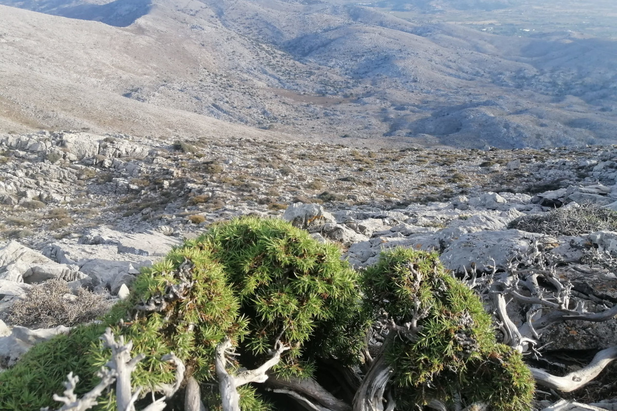Lasithi: Havgas Gorge 3-Hour Nature Walk with Local Guide