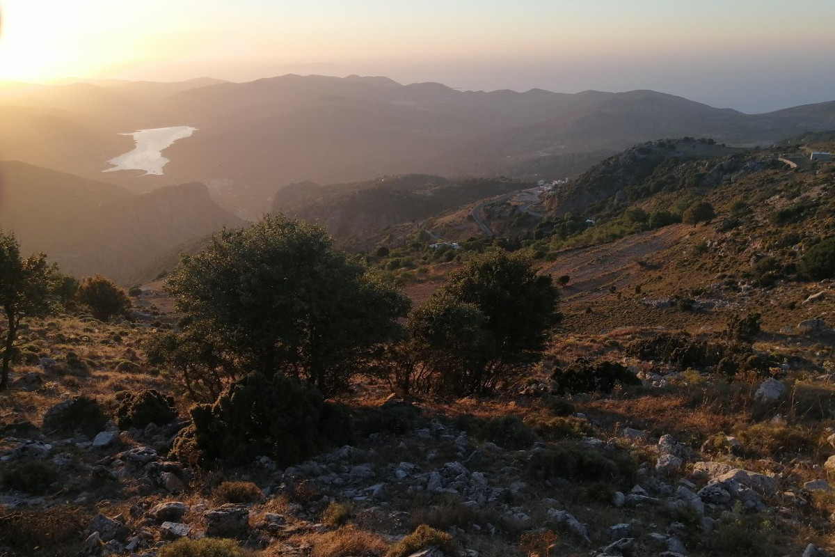 Plateau de Lasithi : excursion à vélo d`une demi-journée « de la ferme à la table » et atelier de cuisine