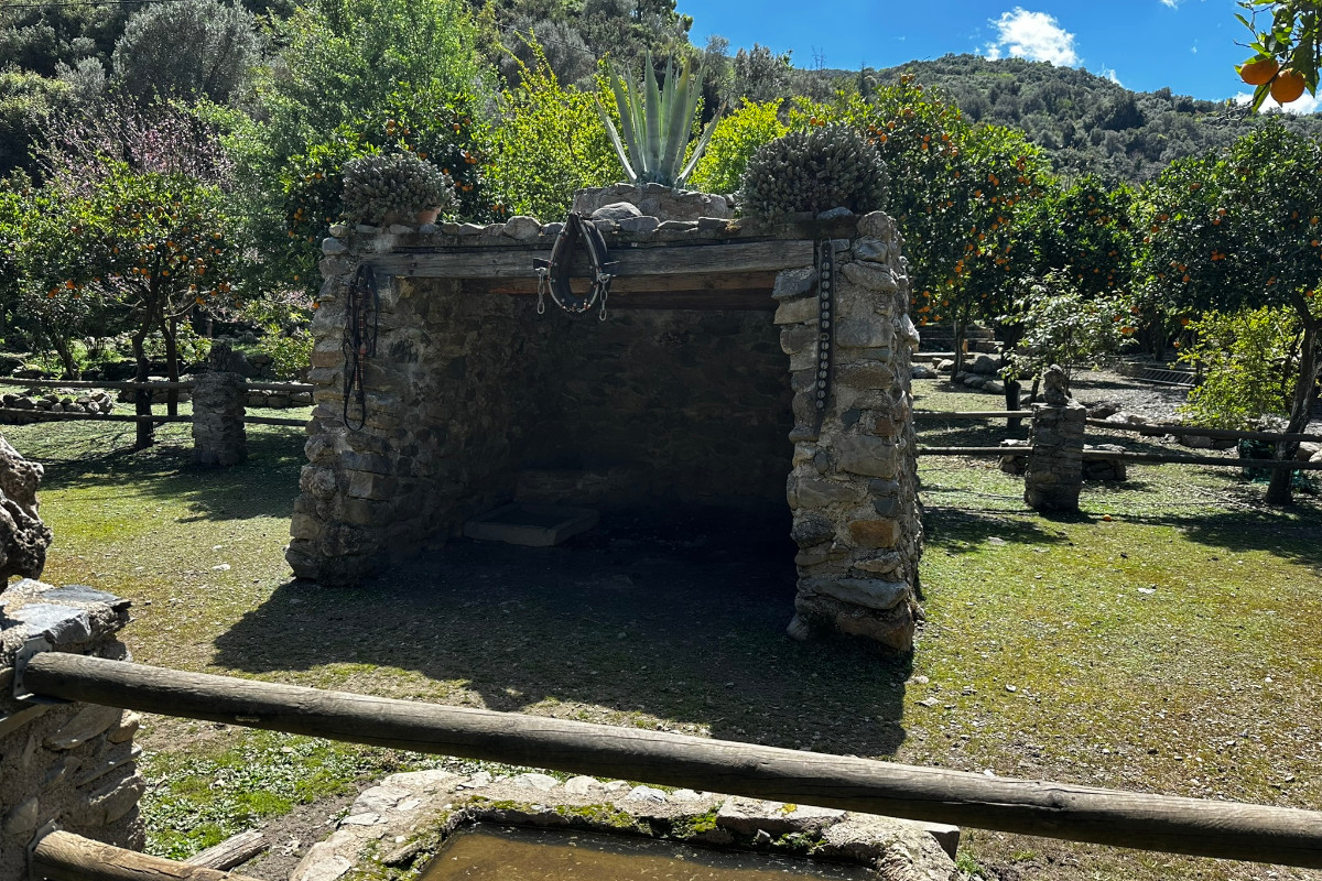Chania Full-Day Adventure: Explore Hidden Caves, Ancient Olive Trees & Taste Cretan Wine